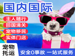韶关航空货运国际宠物托运 【国